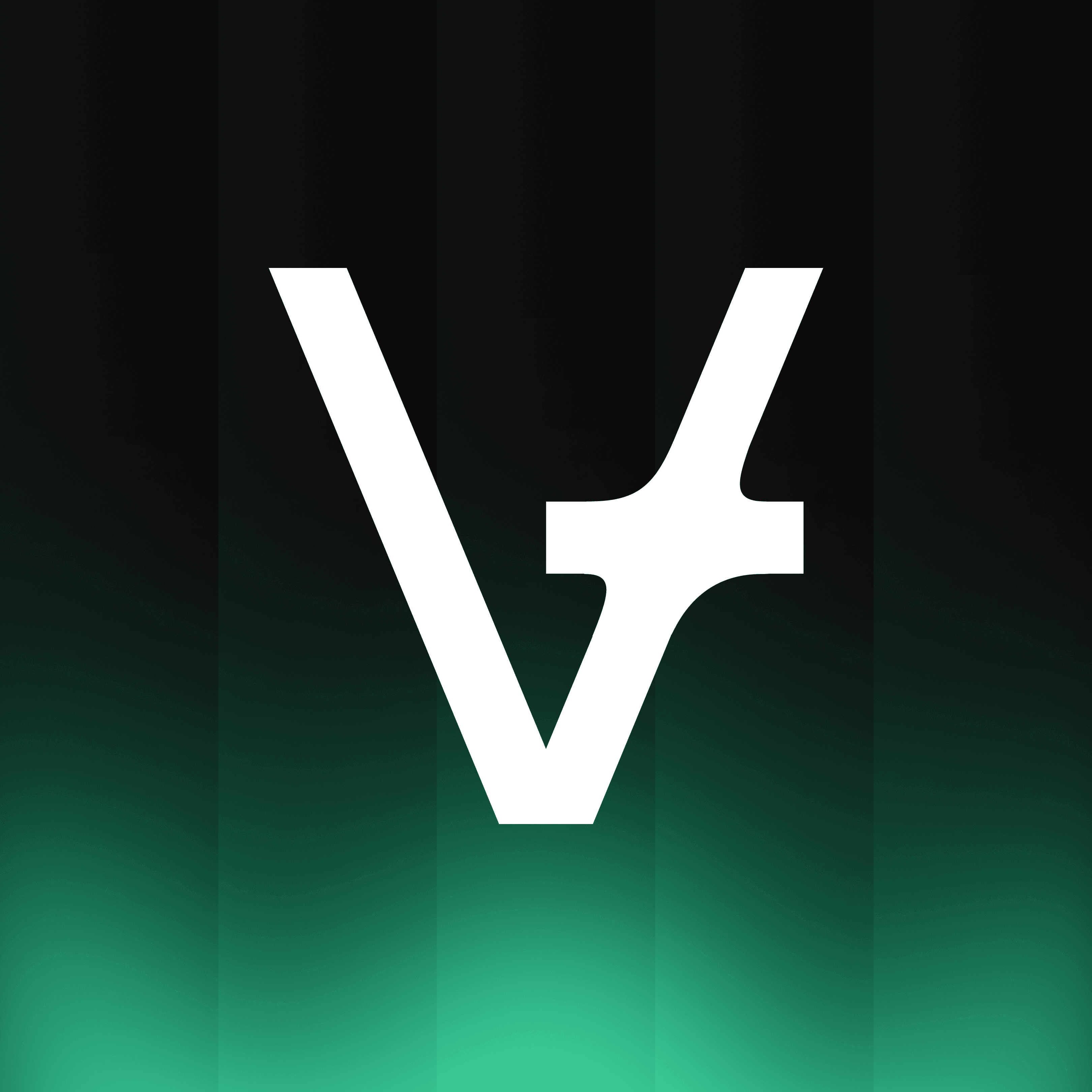 Vexite Technology Partner